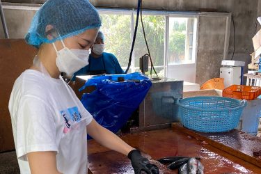 吉野七宝実の #これがこう…漁村で一番可愛い娘の艶ドレス