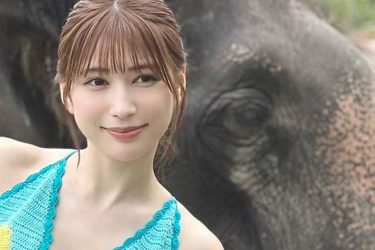 雪平莉左、ゾウと腹筋と柔乳